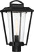 Nuvo Lighting - 60-6513 - One Light Post Lantern - Lakeview - Aged Bronze / Brass Accents