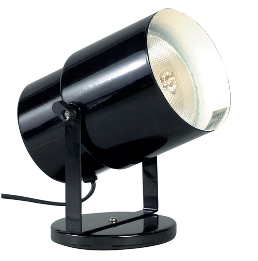 Nuvo Lighting - SF77-394 - One Light Plant Lamp - Black / Steel