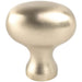 Transitional Advantage Three Champagne Oval Knob