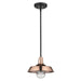 Acclaim Lighting - 1736CO - One Light Pendant - Burry - Copper