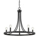 Acclaim Lighting - IN11150BK - Five Light Chandelier - Sawyer - Matte Black