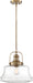 Nuvo Lighting - 60-6757 - One Light Pendant - Basel - Burnished Brass / Clear