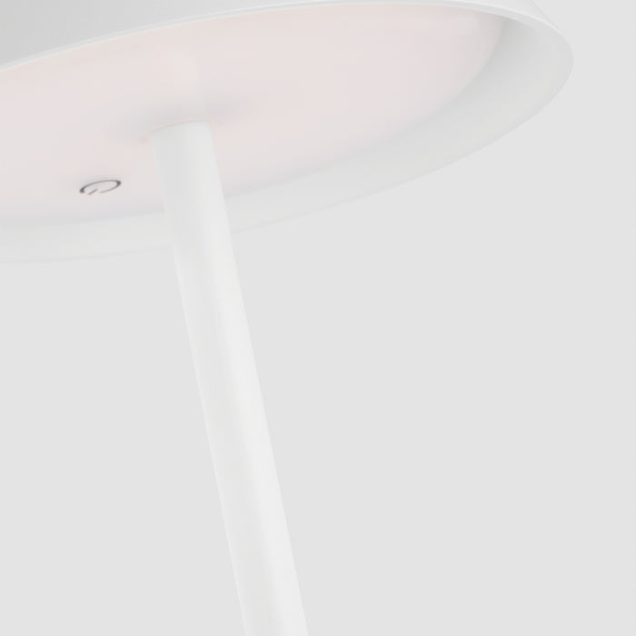 Tepa Medium Rechargeable LED Floor Lamp