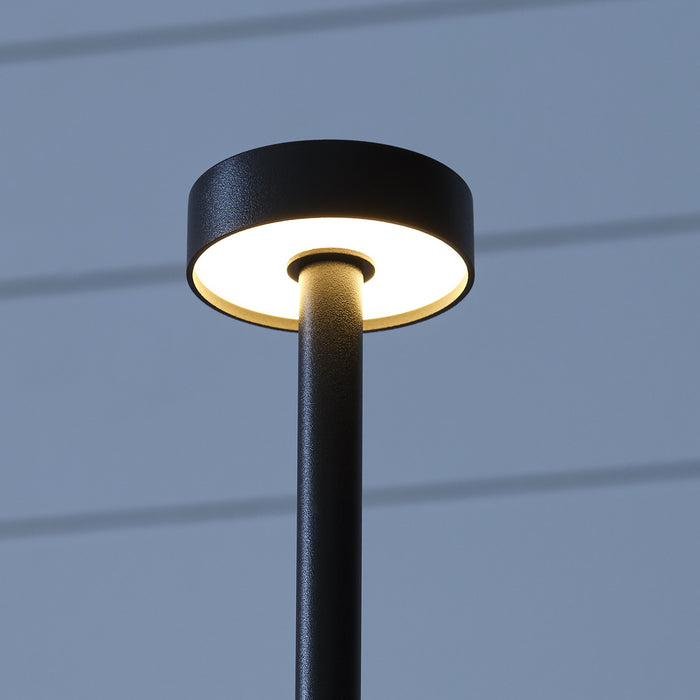 Moneta LED Table Lamp