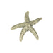 Atlas Starfish 2" Length Novelty Knob