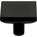 Elements Walker 1 1-5/8" Length Square Knob
