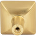 Elements Walker 1 1-1/4" Length Square Knob