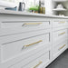 Top Knobs Riverside Appliance Pulls