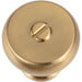 Atlas Everitt 1 3/16" Diameter Round Knob