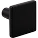 Elements Walker 1 1-1/4" Length Square Knob