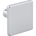 Elements Walker 1 1-5/8" Length Square Knob