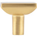 Elements Walker 1 1-1/4" Length Square Knob