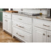 Jeffrey Alexander Lafayette 12" Center-to-Center Appliance Pull